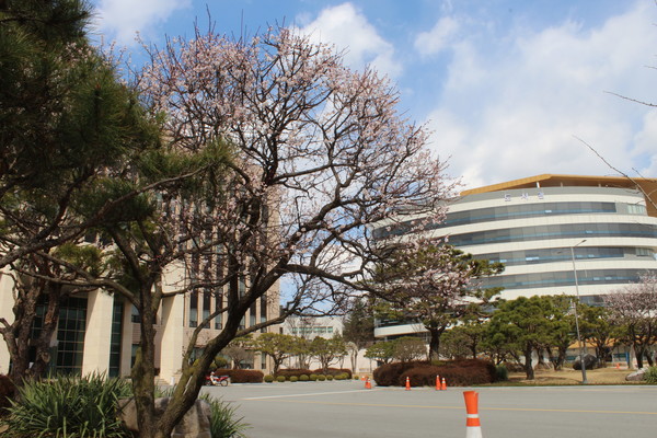 사진 / 김금비 기자