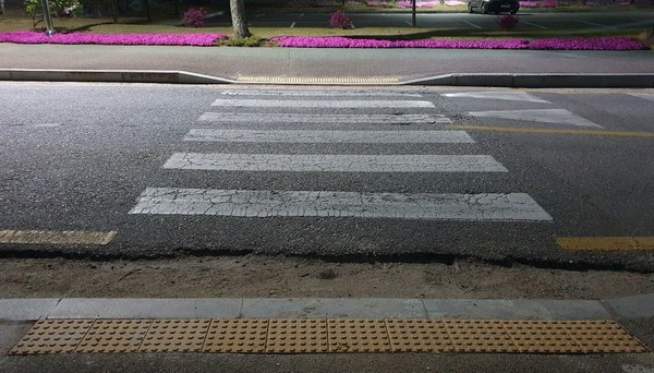 사진 / 곽채현 기자