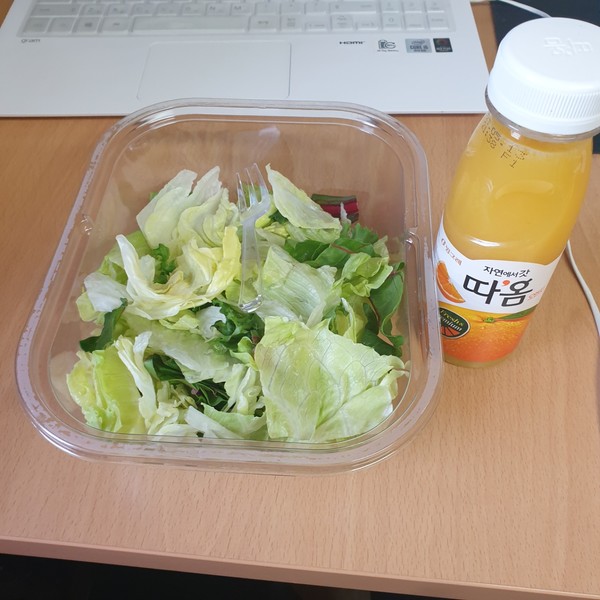 사진 / 이재혁 기자