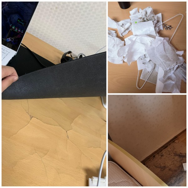 기숙사 입사 당시 학생들이 찍은 호실 내부 상태 (사진 / 설문조사 폼 응답자 제공)