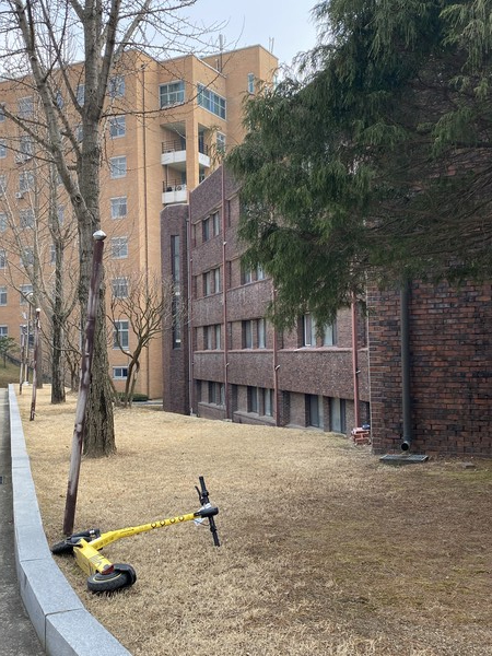 사진 / 원예린 기자