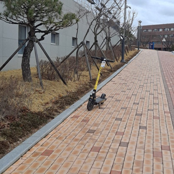 사진 / 이재혁 기자