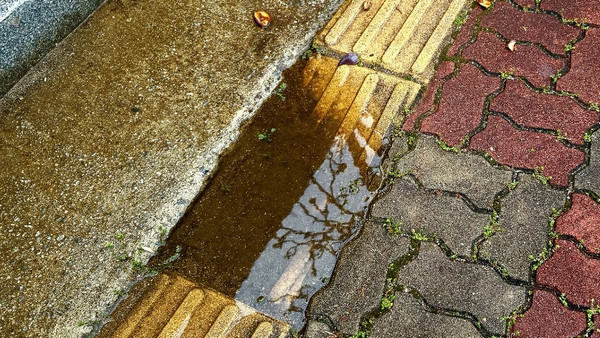 교양학관 뒤 유도블록이 파손되어 빗물이 고였다. 사진 / 구본규 기자