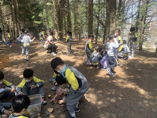 아이들은 숲을 자유롭게 탐색하는 시간을 통해 숲에 대한 긍정적 경험을 쌓는다. (사진제공_유아환경교육관)