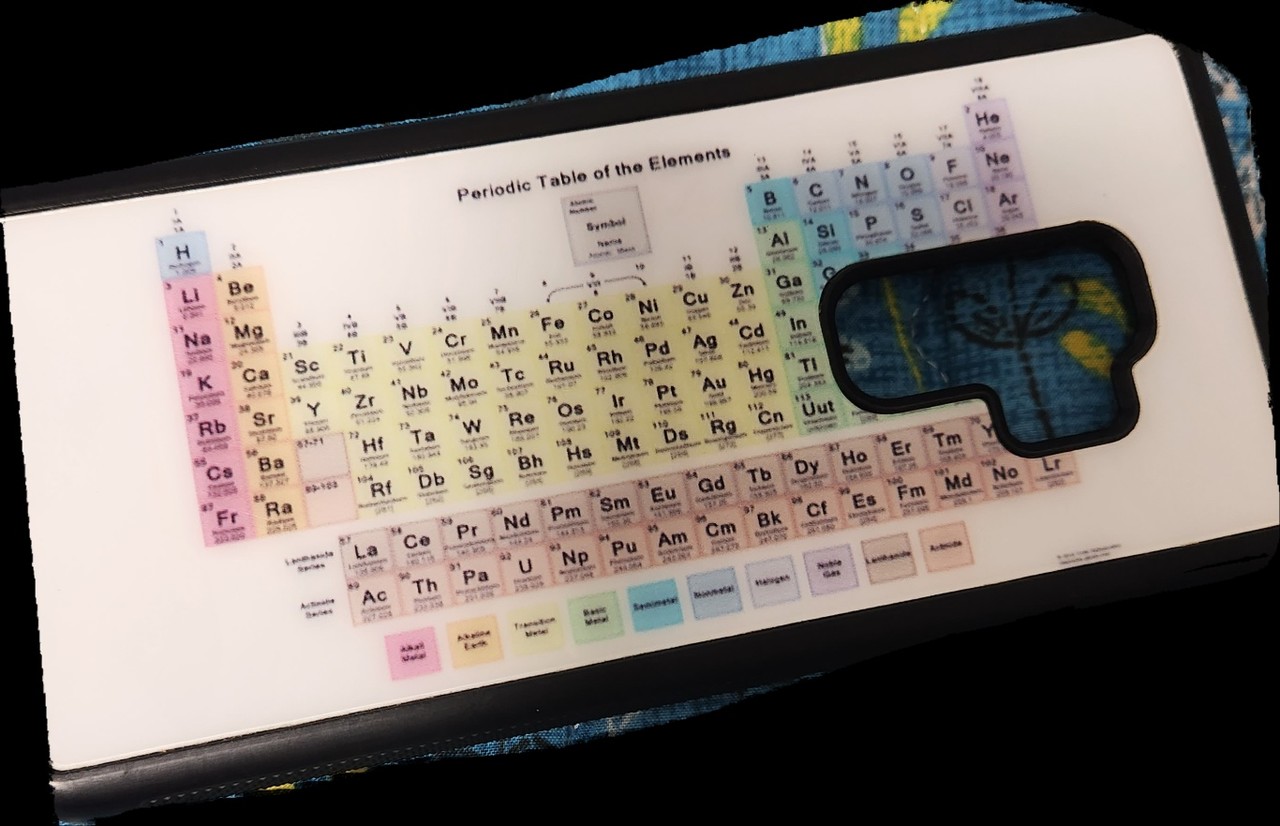 사진제공_정시우 학우