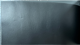 사진/김지수 교수 제공