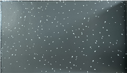 사진/김지수 교수 제공