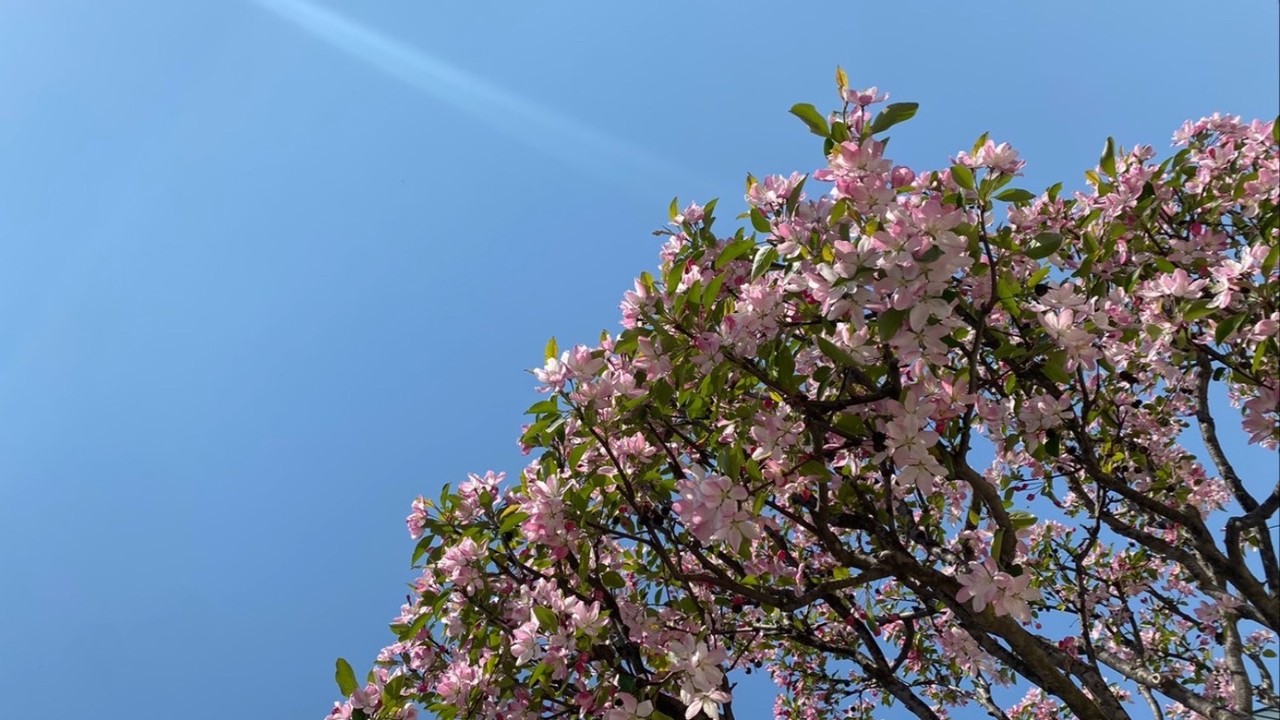 사진제공 / 이건 학우