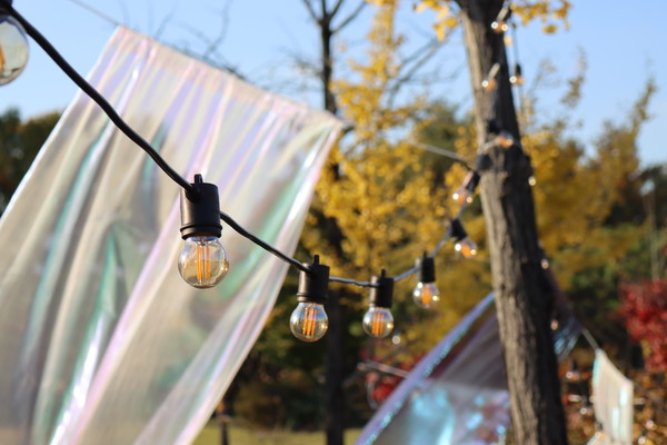 (캠퍼스 피크닉 / 한고은 기자)