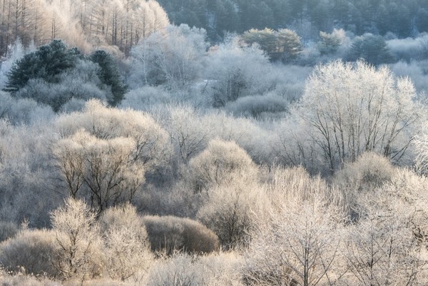 강원도 인제군 (사진/네이버 블로그 제공)
