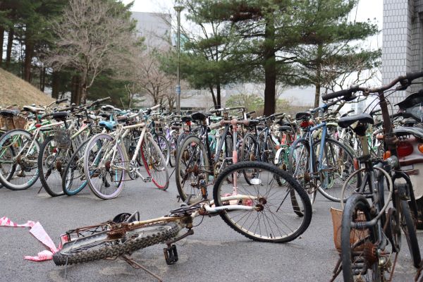 교원문화관 뒤편에 이동보관 중인 무단 방치 자전거들 (사진 / 한소연 기자)