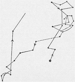 양배추가 발아할 때 뿌리의 움직임을 나타낸 그림 (사진 / 김재욱 교수 제공)