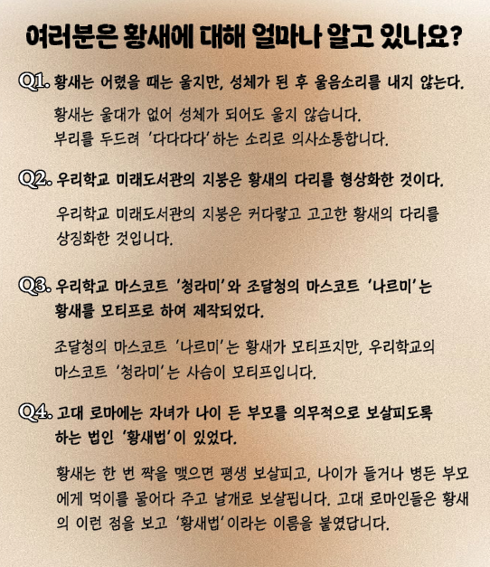 황새 이모저모(사진 / 김채영 기자)