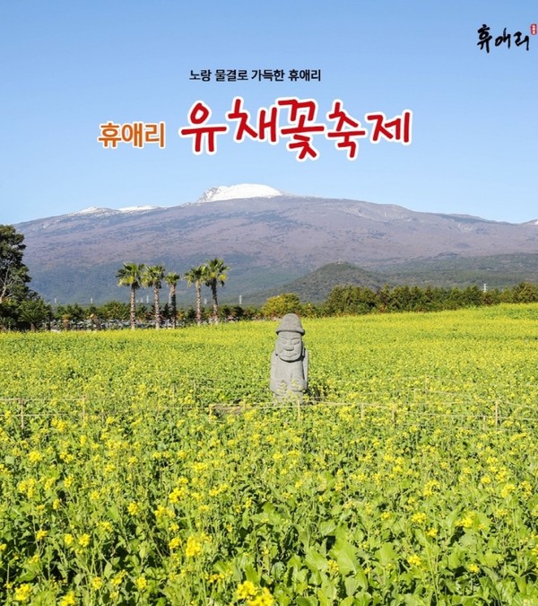 휴애리 유채꽃 축제 포스터 (사진 / 대한민국 구석구석 제공)