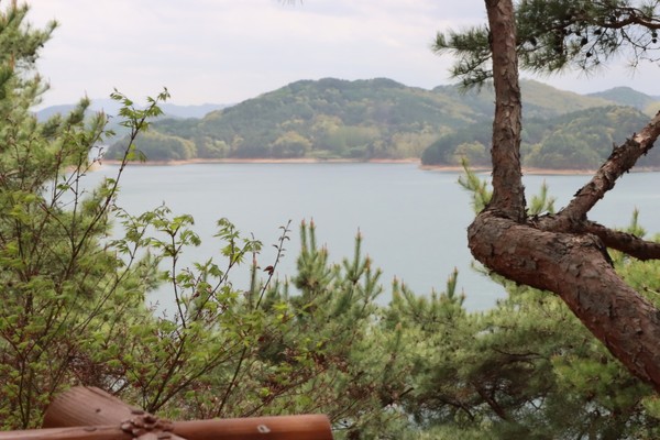 오각정에서 바라본 대청호 (사진 / 심재왕 기자)