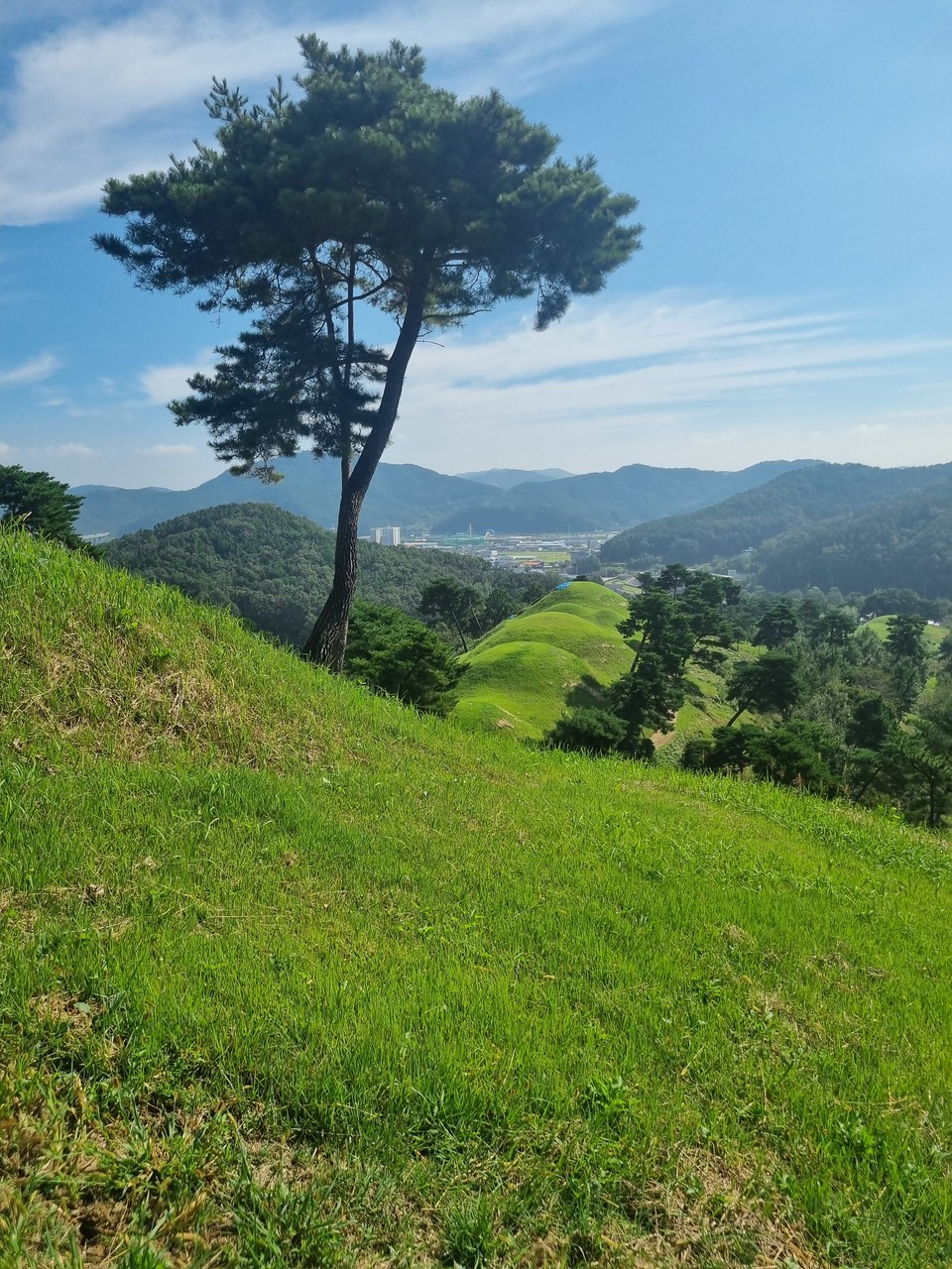 지산동 고분군 (사진 / 황준호 기자)